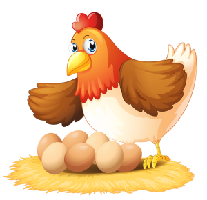 a mother hen with eggs